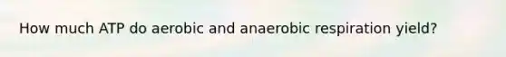How much ATP do aerobic and anaerobic respiration yield?