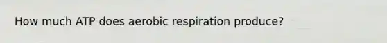 How much ATP does aerobic respiration produce?