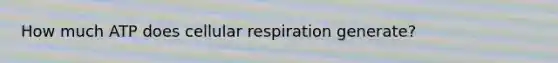 How much ATP does cellular respiration generate?