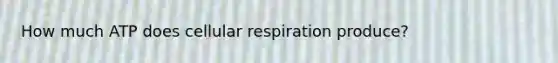 How much ATP does <a href='https://www.questionai.com/knowledge/k1IqNYBAJw-cellular-respiration' class='anchor-knowledge'>cellular respiration</a> produce?