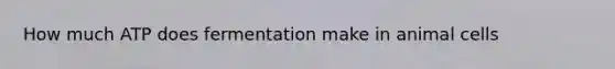 How much ATP does fermentation make in animal cells