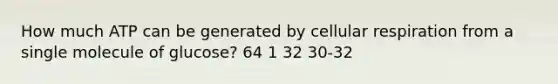 How much ATP can be generated by cellular respiration from a single molecule of glucose? 64 1 32 30-32