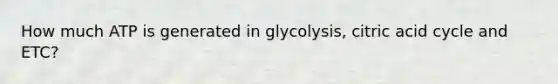 How much ATP is generated in glycolysis, citric acid cycle and ETC?