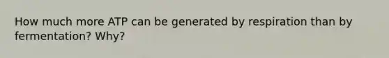 How much more ATP can be generated by respiration than by fermentation? Why?