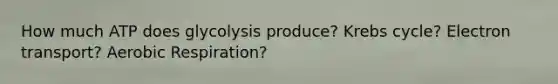 How much ATP does glycolysis produce? Krebs cycle? Electron transport? Aerobic Respiration?