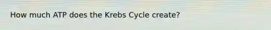 How much ATP does the Krebs Cycle create?