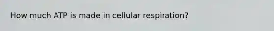 How much ATP is made in cellular respiration?