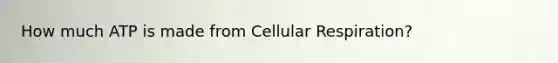 How much ATP is made from Cellular Respiration?