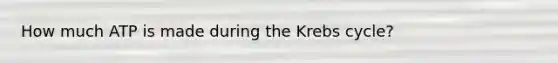 How much ATP is made during the Krebs cycle?