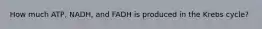 How much ATP, NADH, and FADH is produced in the Krebs cycle?