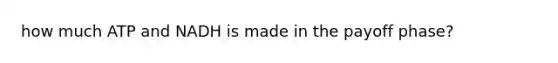 how much ATP and NADH is made in the payoff phase?