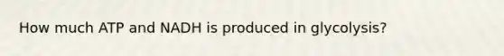 How much ATP and NADH is produced in glycolysis?