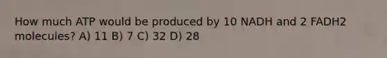 How much ATP would be produced by 10 NADH and 2 FADH2 molecules? A) 11 B) 7 C) 32 D) 28