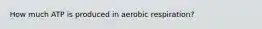 How much ATP is produced in aerobic respiration?