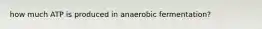 how much ATP is produced in anaerobic fermentation?