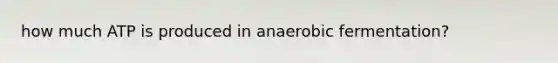 how much ATP is produced in anaerobic fermentation?