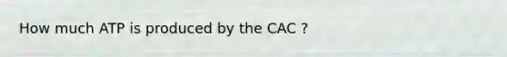 How much ATP is produced by the CAC ?