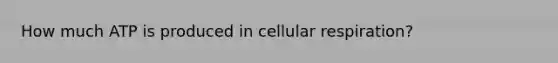 How much ATP is produced in cellular respiration?