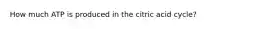 How much ATP is produced in the citric acid cycle?