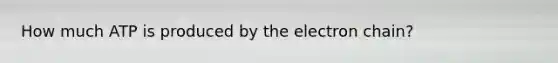 How much ATP is produced by the electron chain?