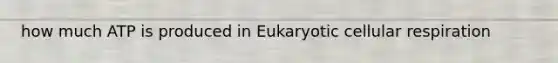 how much ATP is produced in Eukaryotic cellular respiration