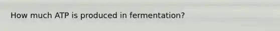 How much ATP is produced in fermentation?