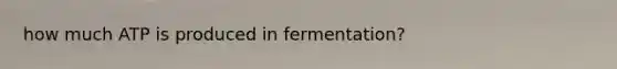 how much ATP is produced in fermentation?