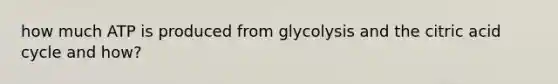 how much ATP is produced from glycolysis and the citric acid cycle and how?