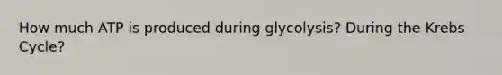 How much ATP is produced during glycolysis? During the Krebs Cycle?