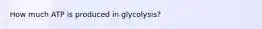 How much ATP is produced in glycolysis?