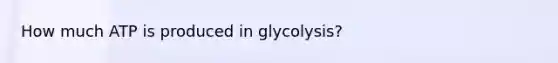 How much ATP is produced in glycolysis?