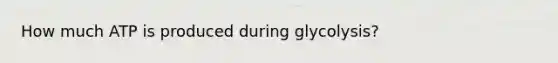 How much ATP is produced during glycolysis?