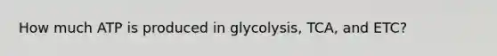 How much ATP is produced in glycolysis, TCA, and ETC?