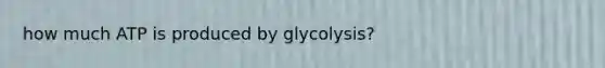 how much ATP is produced by glycolysis?