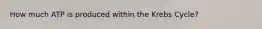 How much ATP is produced within the Krebs Cycle?