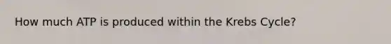 How much ATP is produced within the Krebs Cycle?