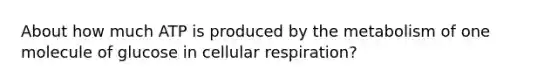 About how much ATP is produced by the metabolism of one molecule of glucose in cellular respiration?