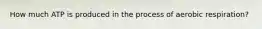 How much ATP is produced in the process of aerobic respiration?
