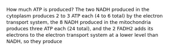 How much ATP is produced? The two NADH produced in the cytoplasm produces 2 to 3 ATP each (4 to 6 total) by the electron transport system, the 8 NADH produced in the mitochondria produces three ATP each (24 total), and the 2 FADH2 adds its electrons to the electron transport system at a lower level than NADH, so they produce