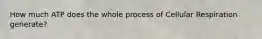 How much ATP does the whole process of Cellular Respiration generate?