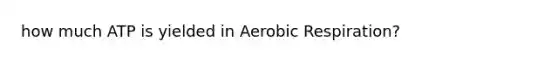 how much ATP is yielded in <a href='https://www.questionai.com/knowledge/kyxGdbadrV-aerobic-respiration' class='anchor-knowledge'>aerobic respiration</a>?