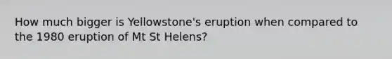 How much bigger is Yellowstone's eruption when compared to the 1980 eruption of Mt St Helens?