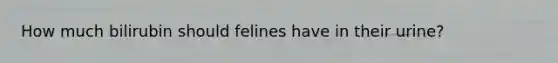 How much bilirubin should felines have in their urine?