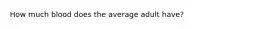 How much blood does the average adult have?