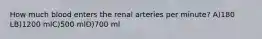 How much blood enters the renal arteries per minute? A)180 LB)1200 mlC)500 mlD)700 ml