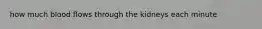 how much blood flows through the kidneys each minute