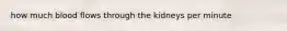 how much blood flows through the kidneys per minute