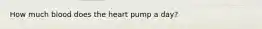 How much blood does the heart pump a day?