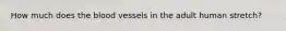 How much does the blood vessels in the adult human stretch?
