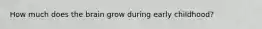 How much does the brain grow during early childhood?